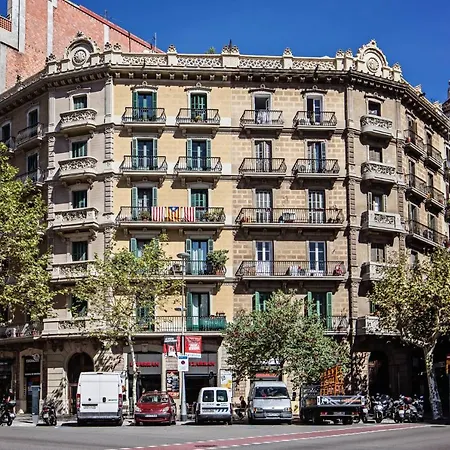 Sweet - Urgell *